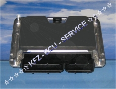 TDI 2,5 l Steuergert 074906018D 0281010079